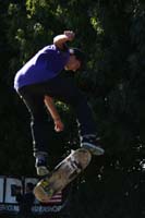 IMG_4524